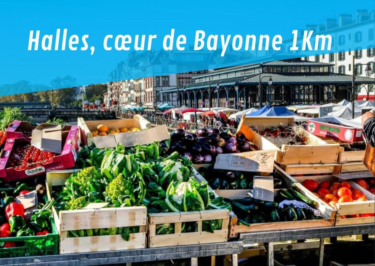 By'Ona Marquisat Au Calme A 2 Pas De L'Adour Leilighet Bayonne Eksteriør bilde